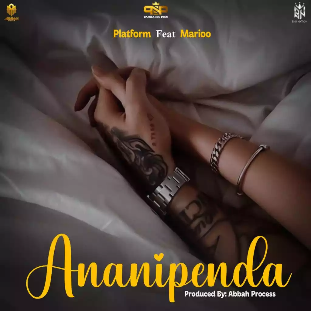 Platform ft Marioo - Ananipenda Mp3 Download